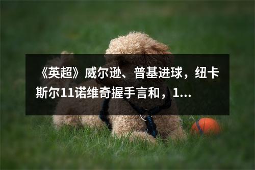 《英超》威尔逊、普基进球，纽卡斯尔11诺维奇握手言和，13场比赛结束