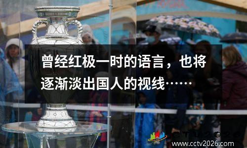 曾经红极一时的语言，也将逐渐淡出国人的视线……