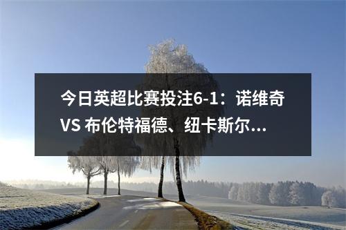 今日英超比赛投注6-1：诺维奇VS 布伦特福德、纽卡斯尔VS 布莱顿