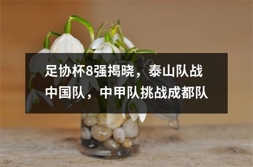 足协杯8强揭晓，泰山队战中国队，中甲队挑战成都队