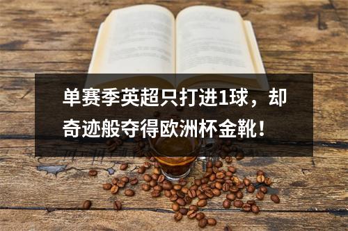 单赛季英超只打进1球，却奇迹般夺得欧洲杯金靴！