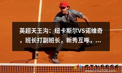 英超天王沟：纽卡斯尔VS诺维奇，班长打副班长，新秀互啄，谁都输不起