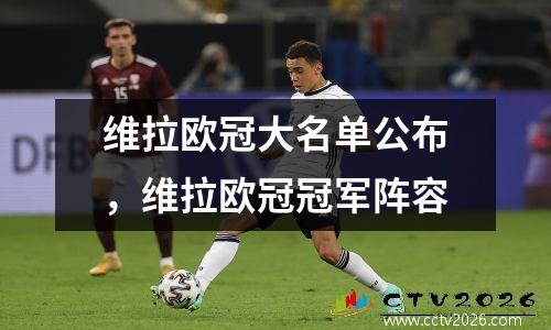 维拉欧冠大名单公布，维拉欧冠冠军阵容