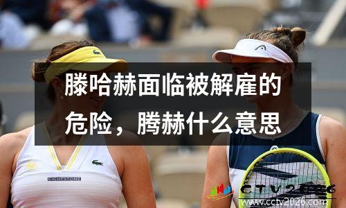 滕哈赫面临被解雇的危险，腾赫什么意思
