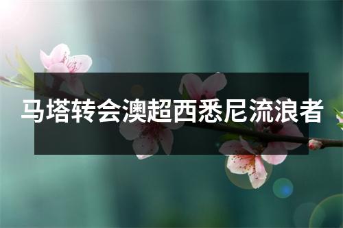 马塔转会澳超西悉尼流浪者