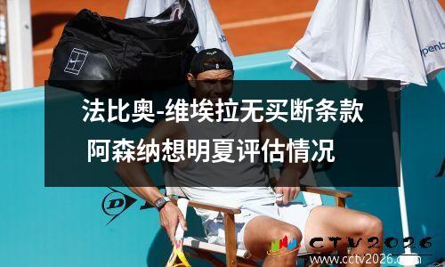 法比奥-维埃拉无买断条款 阿森纳想明夏评估情况