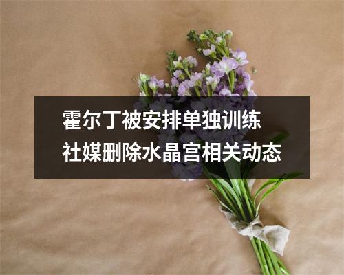 霍尔丁被安排单独训练 社媒删除水晶宫相关动态