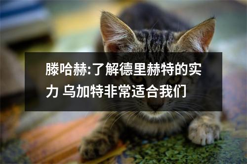 滕哈赫:了解德里赫特的实力 乌加特非常适合我们