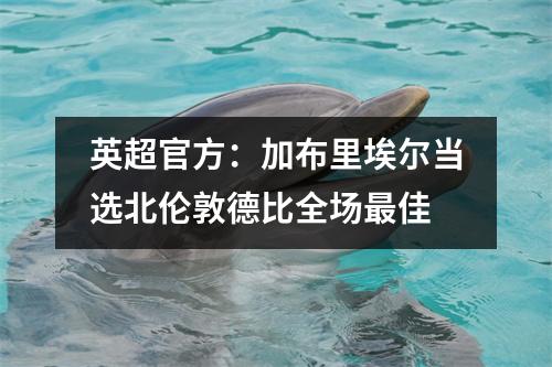 英超官方：加布里埃尔当选北伦敦德比全场最佳