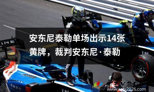 安东尼泰勒单场出示14张黄牌，裁判安东尼·泰勒