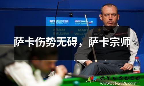 萨卡伤势无碍，萨卡宗师