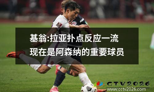 基翁:拉亚扑点反应一流 现在是阿森纳的重要球员