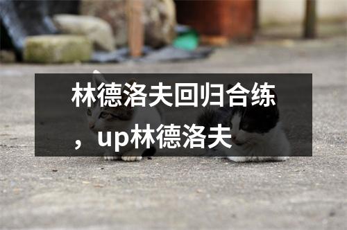 林德洛夫回归合练，up林德洛夫