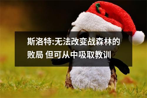 斯洛特:无法改变战森林的败局 但可从中吸取教训