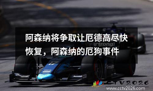 阿森纳将争取让厄德高尽快恢复，阿森纳的厄狗事件
