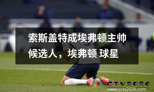 索斯盖特成埃弗顿主帅候选人，埃弗顿 球星