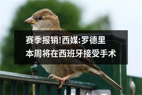 赛季报销!西媒:罗德里本周将在西班牙接受手术
