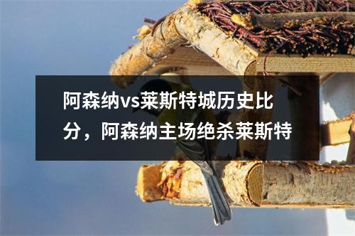 阿森纳vs莱斯特城历史比分，阿森纳主场绝杀莱斯特