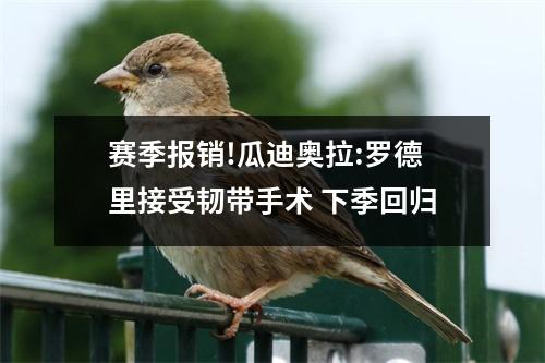 赛季报销!瓜迪奥拉:罗德里接受韧带手术 下季回归