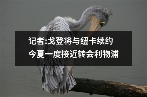 记者:戈登将与纽卡续约 今夏一度接近转会利物浦