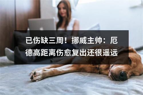 已伤缺三周！挪威主帅：厄德高距离伤愈复出还很遥远
