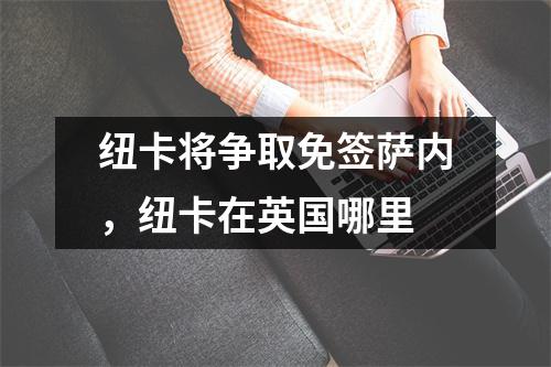 纽卡将争取免签萨内，纽卡在英国哪里