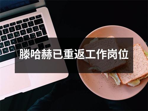 滕哈赫已重返工作岗位