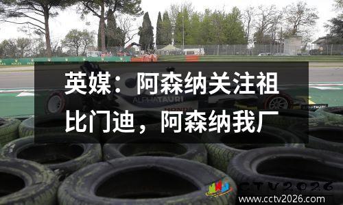 英媒：阿森纳关注祖比门迪，阿森纳我厂