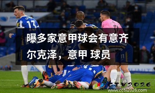 曝多家意甲球会有意齐尔克泽，意甲 球员