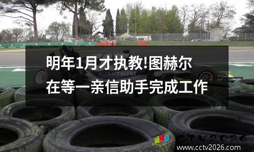 明年1月才执教!图赫尔在等一亲信助手完成工作