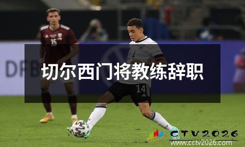 切尔西门将教练辞职