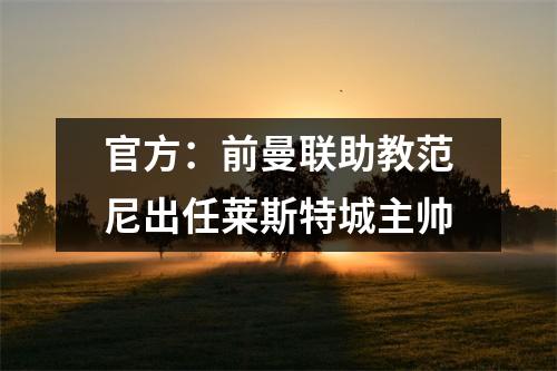 官方：前曼联助教范尼出任莱斯特城主帅