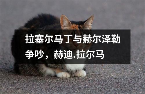 拉塞尔马丁与赫尔泽勒争吵，赫迪.拉尔马