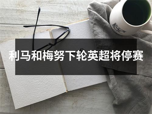 利马和梅努下轮英超将停赛