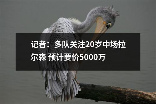 记者：多队关注20岁中场拉尔森 预计要价5000万