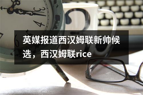 英媒报道西汉姆联新帅候选，西汉姆联rice