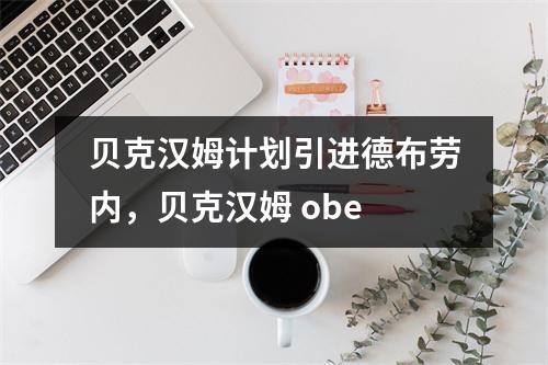 贝克汉姆计划引进德布劳内，贝克汉姆 obe