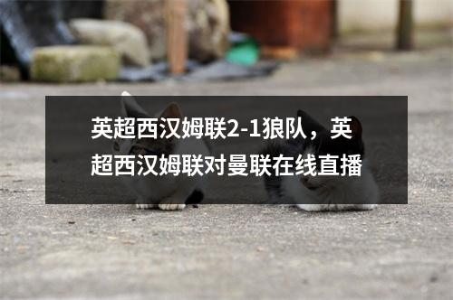 英超西汉姆联2-1狼队，英超西汉姆联对曼联在线直播