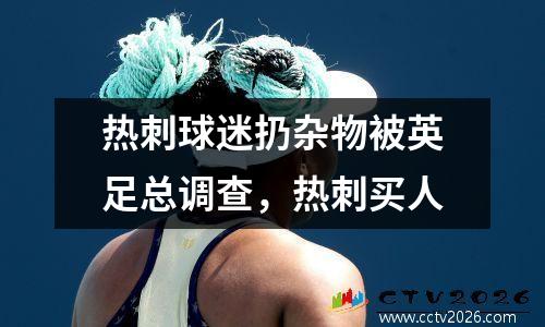 热刺球迷扔杂物被英足总调查，热刺买人