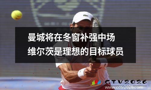 曼城将在冬窗补强中场 维尔茨是理想的目标球员