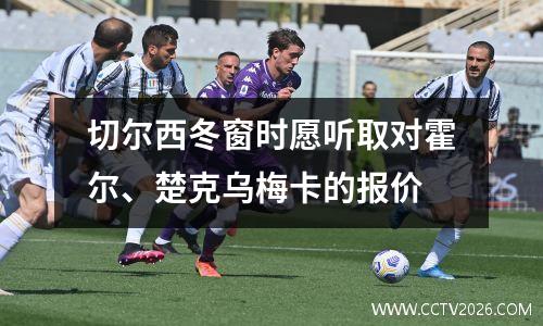 切尔西冬窗时愿听取对霍尔、楚克乌梅卡的报价