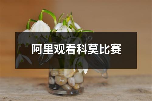 阿里观看科莫比赛