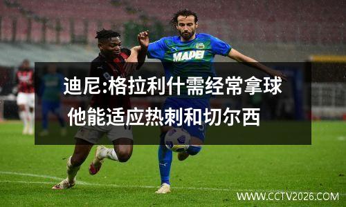 迪尼:格拉利什需经常拿球 他能适应热刺和切尔西