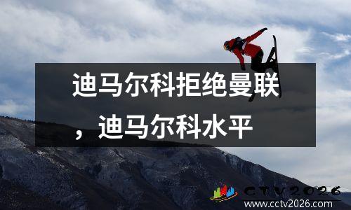 迪马尔科拒绝曼联，迪马尔科水平