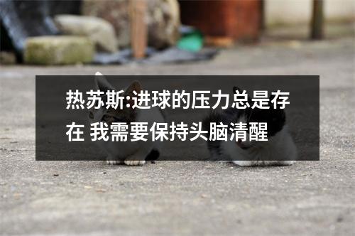 热苏斯:进球的压力总是存在 我需要保持头脑清醒
