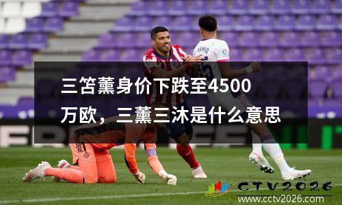 三笘薰身价下跌至4500万欧，三薰三沐是什么意思