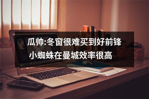 瓜帅:冬窗很难买到好前锋 小蜘蛛在曼城效率很高