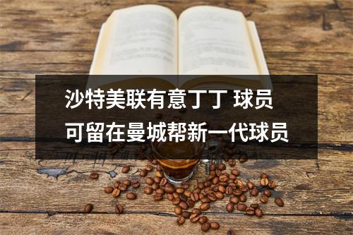 沙特美联有意丁丁 球员可留在曼城帮新一代球员