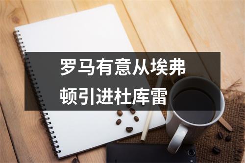 罗马有意从埃弗顿引进杜库雷