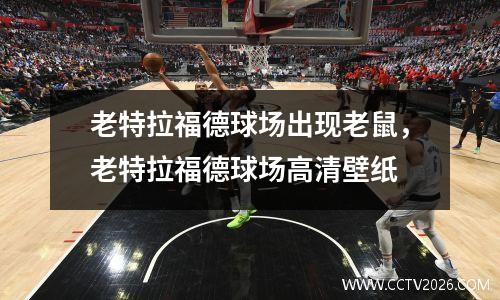 老特拉福德球场出现老鼠，老特拉福德球场高清壁纸